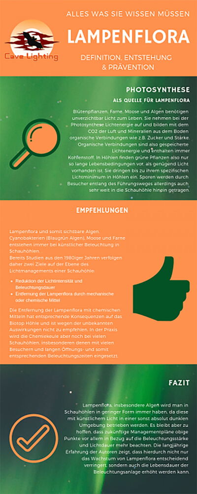 Lampenflora Informationen