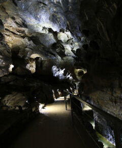 LED-Beleuchtung im Hauptgang der Lurgrotte Peggau – atmosphärische Besucherführung mit energieeffizienter Technik