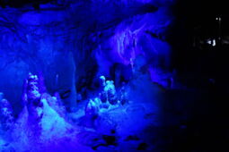 Blue LED lighting highlighting stalactites in Herrmann’s Cave