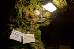 LED lighting illuminating the stalactite formations in the Klutert Cave