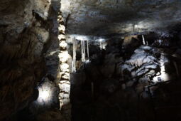 Grotte de han Referenzen