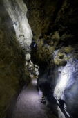 Illuminated stalactite formation in the Klutert Cave