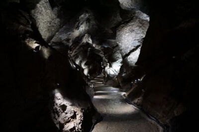 Vigneron Reef Fossil Grotte de Han