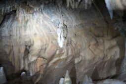 LED light accents emphasizing the rock wall in Herrmann’s Cave