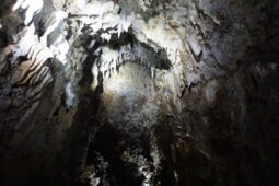 Schertelshöhle Schauhöhle
