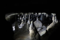 Close-up of stalactites illuminated by LED lighting in Herrmann’s Cave