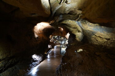 Grottes de Blanot hat ein Analoges System bekommen und Grottes d’Aze ein SPS gesteuertes System mit einem LWL Netzwerk.