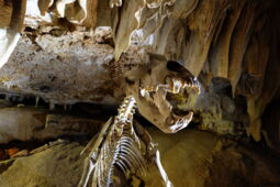 Grotte spectacle de l'Aven Marzal