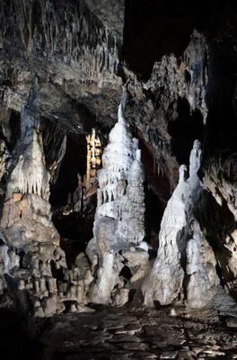 Eindrucksvolle Tropfsteinformationen – Cave Lighting im Magazin der ACKMA über moderne LED-Höhlenbeleuchtung