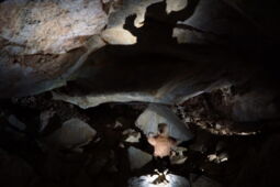 Dachstein Rieseneis cave Show cave