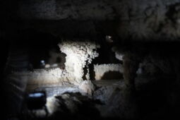LED spotlights highlighting stalactite formations in Herrmann’s Cave