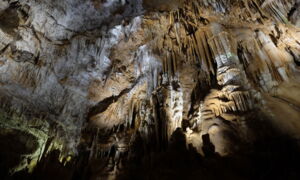 Beleuchtete Stalaktiten und Stalagmiten in der Aven Marzal