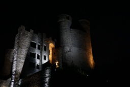 Combination of white and warm-tone LED lighting at Castle Greifenstein