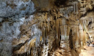 Beleuchtete Stalaktiten und Stalagmiten in der Tropfsteinhöhle Aven Marzal