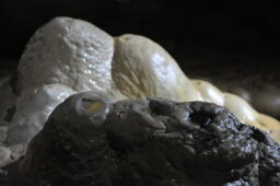 Sophienhöhle Referenzen