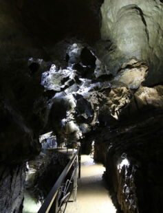 Gangsystem mit neuer LED-Lichttechnik – energieeffiziente Beleuchtung für Besucherwege