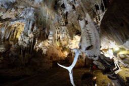 Aven Marzal Schauhöhle LED