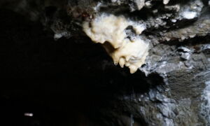 Beleuchtete Kalkformation im Gleissinger Fels mit LED-Licht