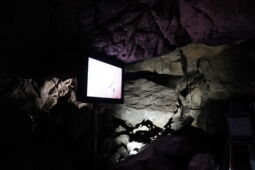 LED lamp as part of the modern lighting installation in Herrmann’s Cave – energy-efficient show cave illumination by Cave Lighting