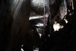 Cave Lighting system providing uniform LED illumination in Herrmann’s Cave