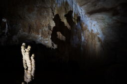 White lighting highlighting the stalactite formation in the Prometheus Cave