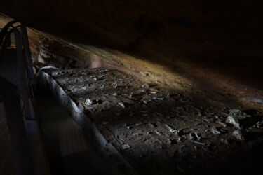 Fledermausschutzmaßnahmen Grottes d’Aze