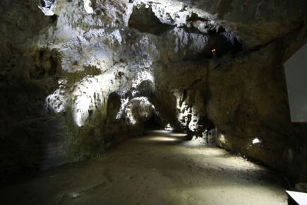 Beleuchteter Hauptweg der Lurgrotte Peggau – moderne LED-Technik sorgt für Sicherheit und visuelle Harmonie