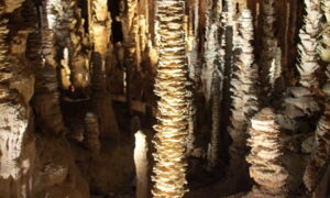 Illuminated stalactites in Aven Armand during the 57th ANECAT Congress