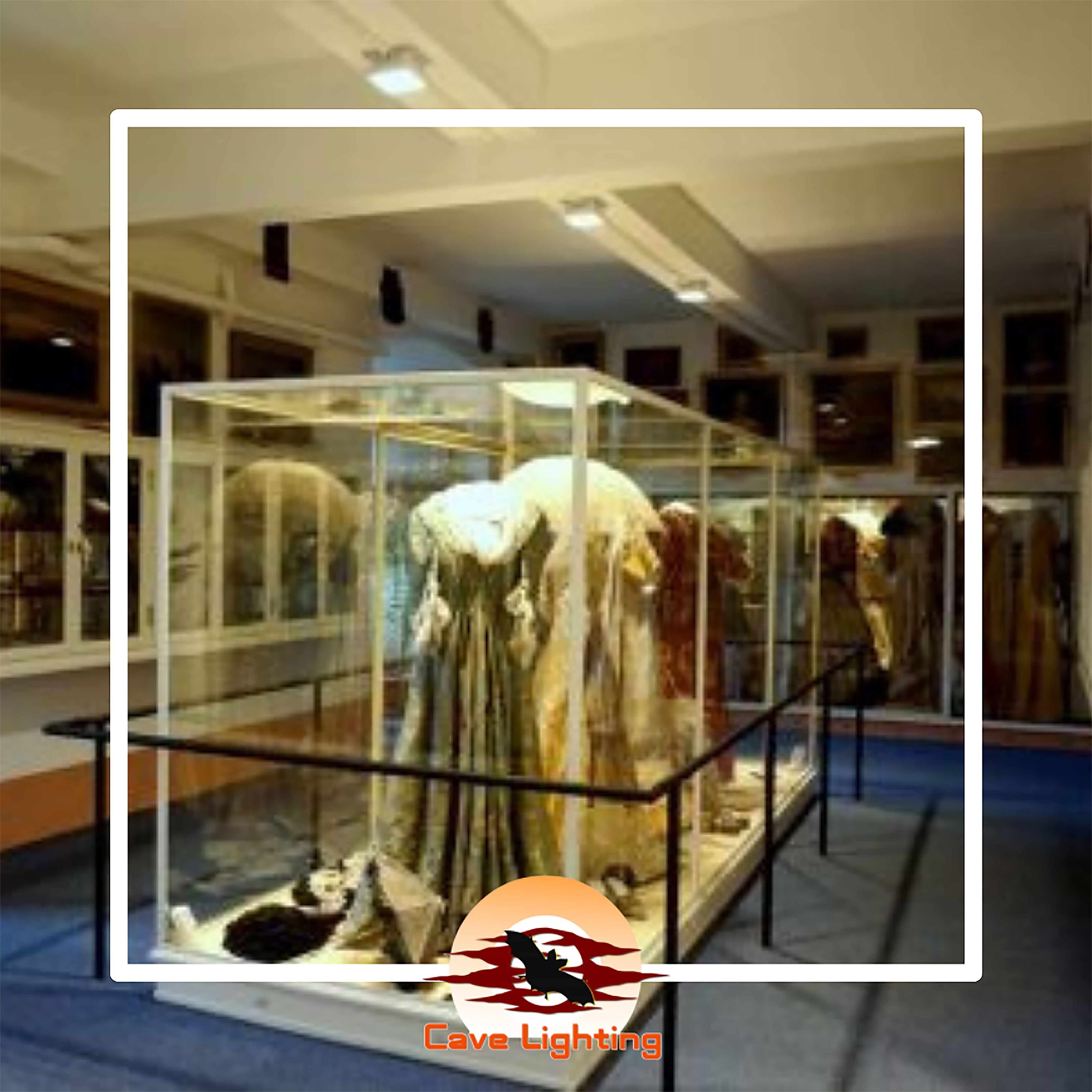 Beleuchtung Familienmuseum Schloß Braunfels