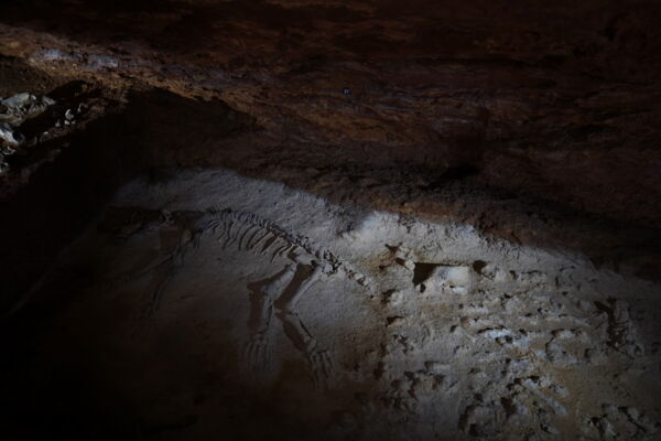 Grottes d’Azé Rivère wildlife protection